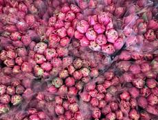 Тюльпаны 🌷💐