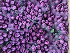 Тюльпаны 🌷💐