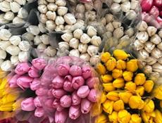 Тюльпаны 🌷💐