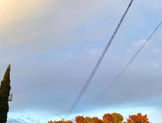 Продаются коровы,по всем вопросам звонить по номеру  9207076