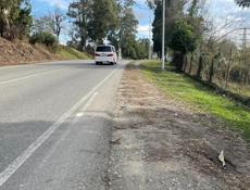 По центральной трассе. Гулирипш