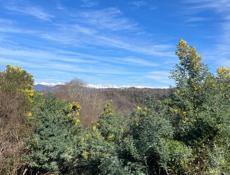 Сниму дом с последующим выкупом или под присмотр с последующим выкупом.