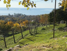 Продается дом 