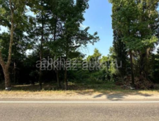 участок возле границы 