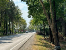 участок возле границы 