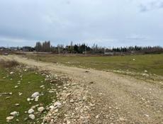 Гудаута. Золотой берег🌊