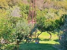 Срочно 🔥🔥🔥