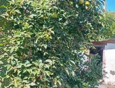 Срочно 🔥🔥🔥