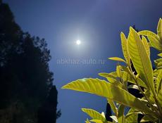 водитель/администратор/и другие варианты тоже рассмотрю