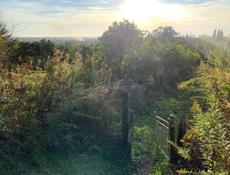 УЧАСТОК ГАГРА