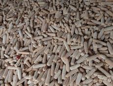 Кукуруза 🌽