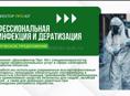 Дезинфекция 