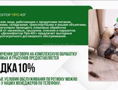 Дезинфекция 