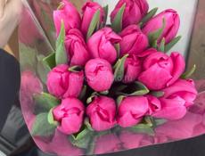 Хорошие свежие тюльпаны