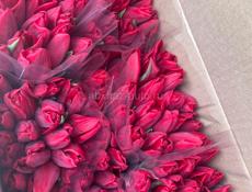 Хорошие свежие тюльпаны