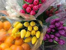 Продаю тюльпаны оптом