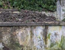 я ищу аренду 