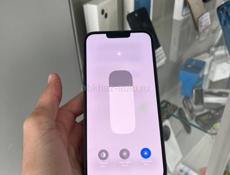 iPhone 13 Pro Max 256GB