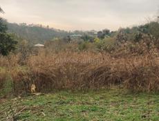 Продаю дом с участком, кодорское ущелье, 80 соток земли в хорошем месте, 