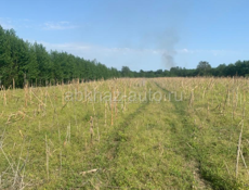 Сдам поле в аренду