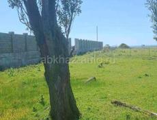 Село Алахадзы 12 соток  100 метров до моря 