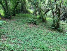 Земля рядом с Горячим источником 