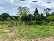 Земля рядом с Горячим источником 