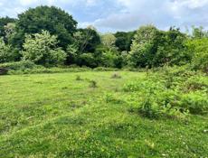 Земля рядом с Горячим источником 