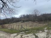 Земельный участок в Цандрипше