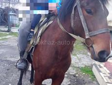 Продаю срочно 