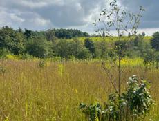 Обмен продажа 