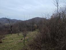 50 сот срочно