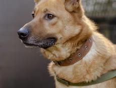 В добрые руки❗️