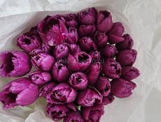 Продажа цветов❗️