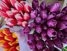 Продажа цветов❗️