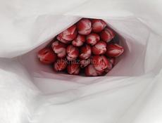 Продажа цветов❗️