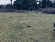 Участок 10 соток