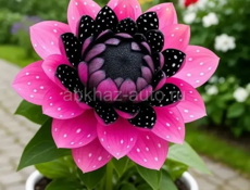 Ищу работу срочно