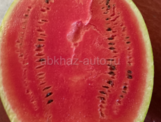 Семена арбуза барака Манчестер мирсини