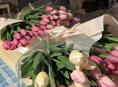 В ПРОДАЖЕ ТЮЛЬПАНЫ 🌷🌷🌷 120р за шт 