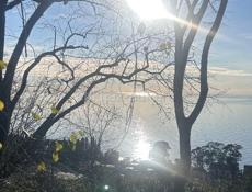 6 сот в г.Гагра