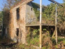 Участок 9 сотоа