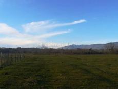 Участок Гудаута, Белая Речка. 