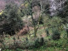 Частный дом 