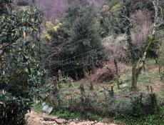 Частный дом 