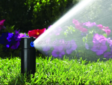 Автоматический полив в Абхазии. Проектирование и монтаж