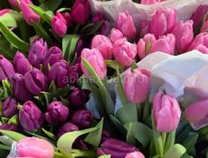 ТЮЛЬПАНЫ 