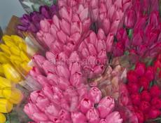 Тюльпаны 
