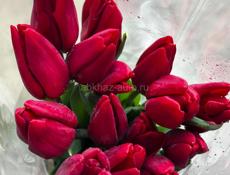 Тюльпаны 60 см 🔥