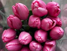 Тюльпаны 60 см 🔥